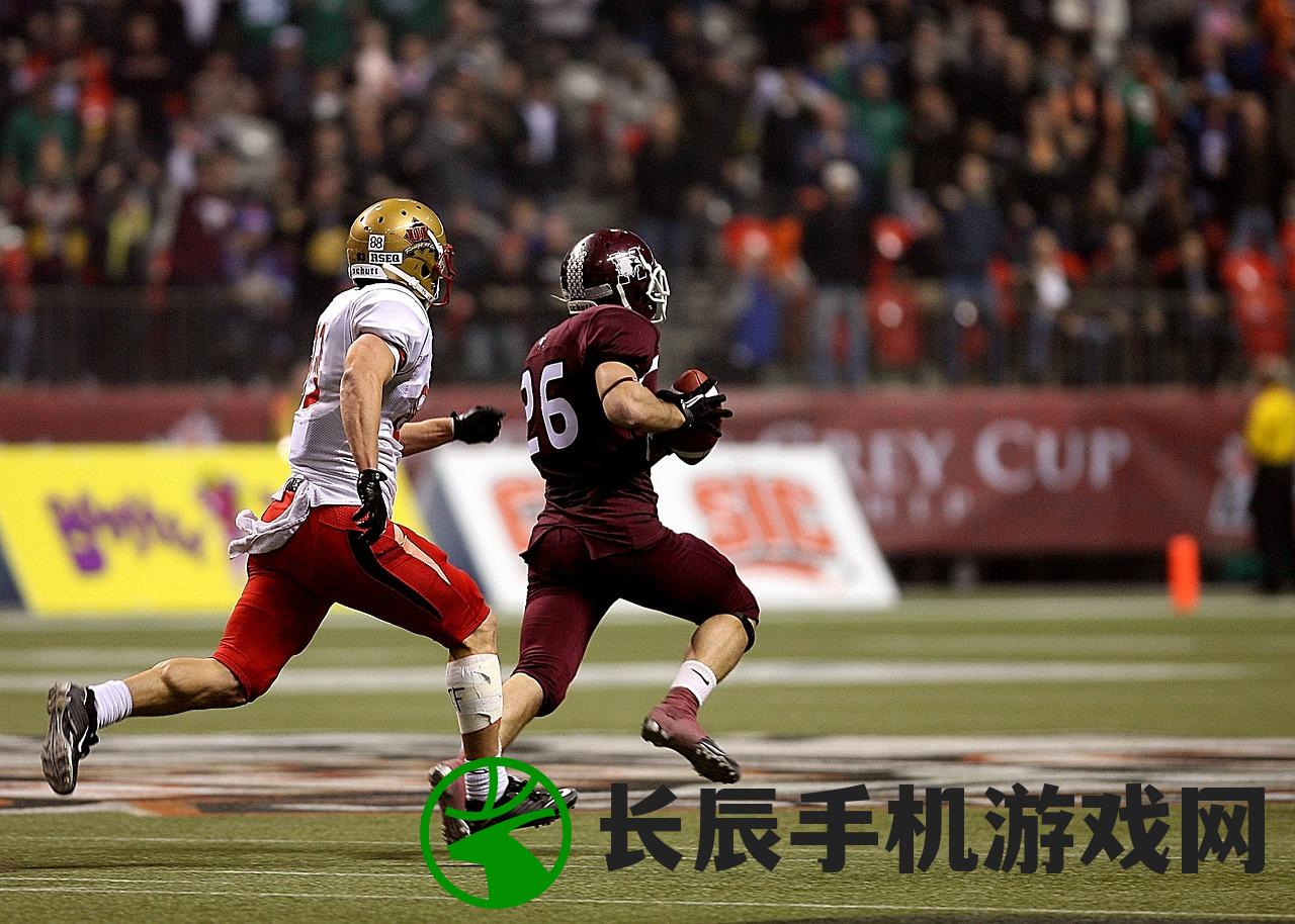 (暗区限定具名)暗区限定的探索与挑战,未知领域的边界界定