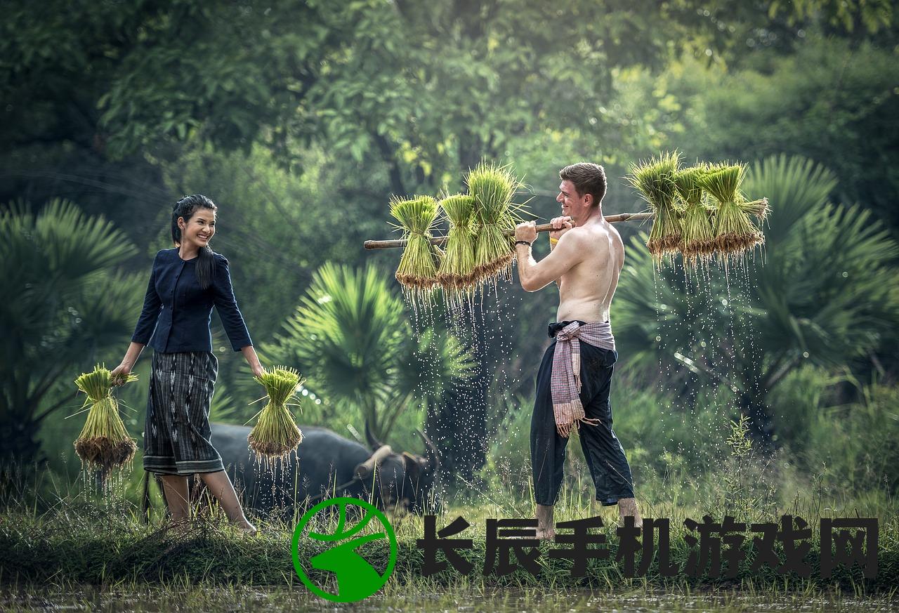 (阳明心学躲天意避因果全文)因果全文，探究因果关系的深度与广度