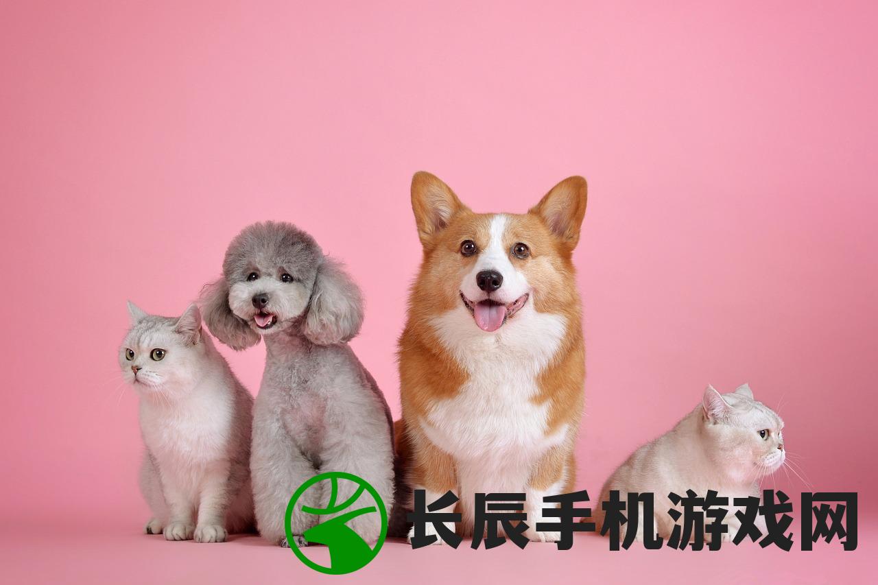 (猛将传攻略)猛将传事件一览表及其深度解读