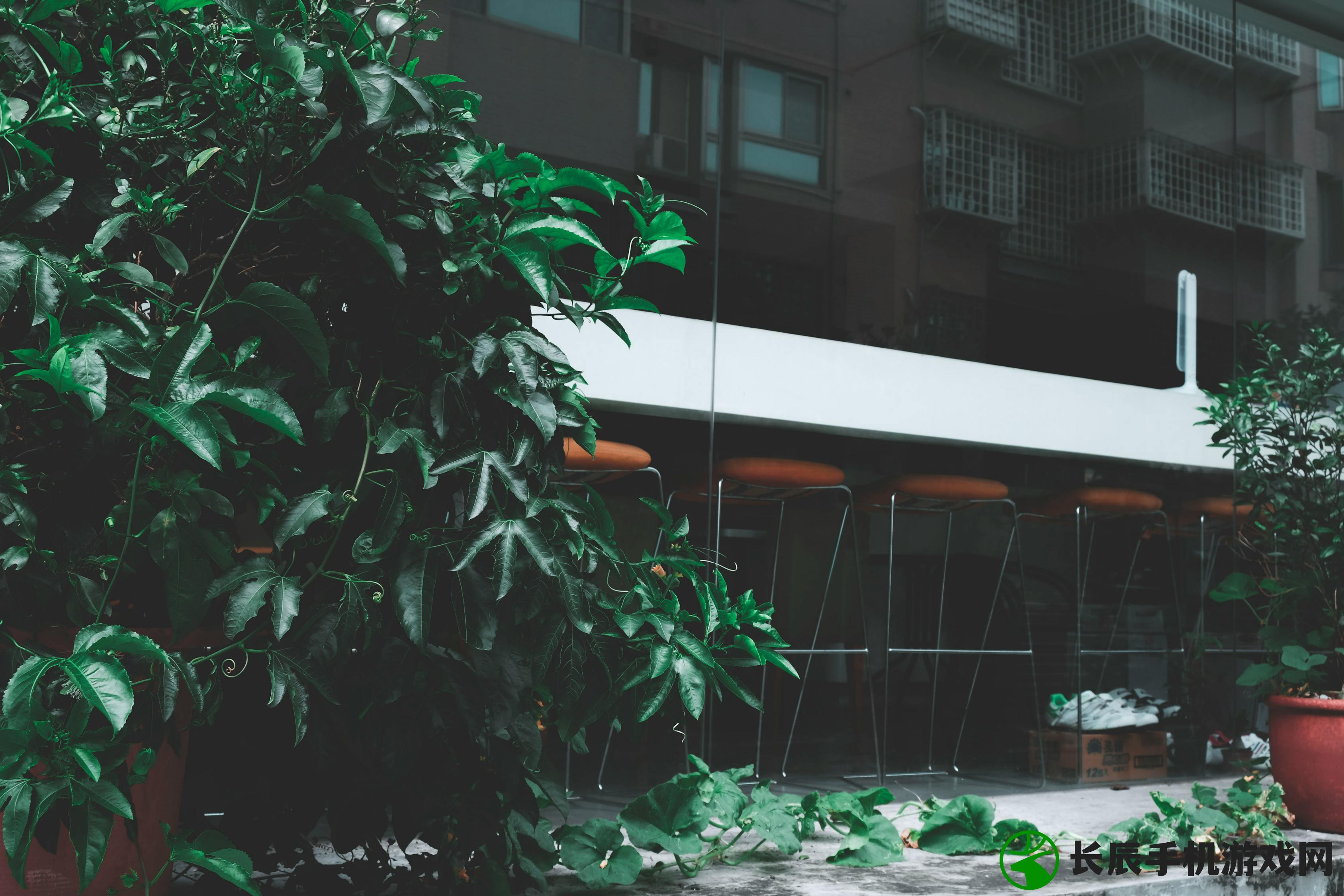 (《西游记》的恐怖真相孙悟空死在了六耳猕猴一难)西游记,隐藏在神话背后的恐怖真相 (《西游记》的恐怖真相孙悟空死在了六耳猕猴一难)西游记,隐藏在神话背后的恐怖真相