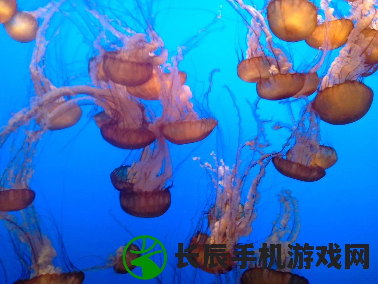 (《边境》游戏)边境2109游戏，探索与超越的极致体验