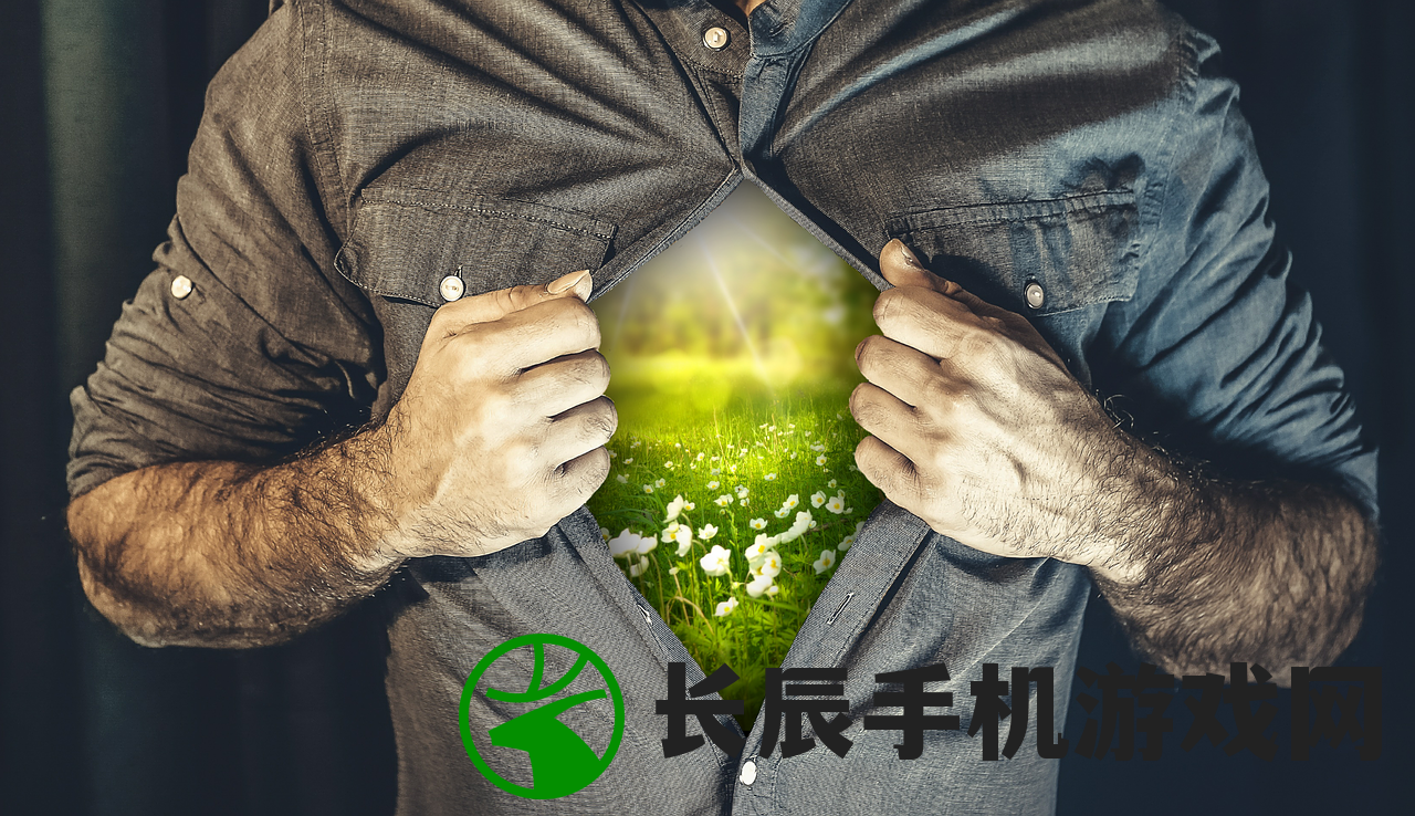 (五虎将的军衔)五虎将级别的荣耀与传奇