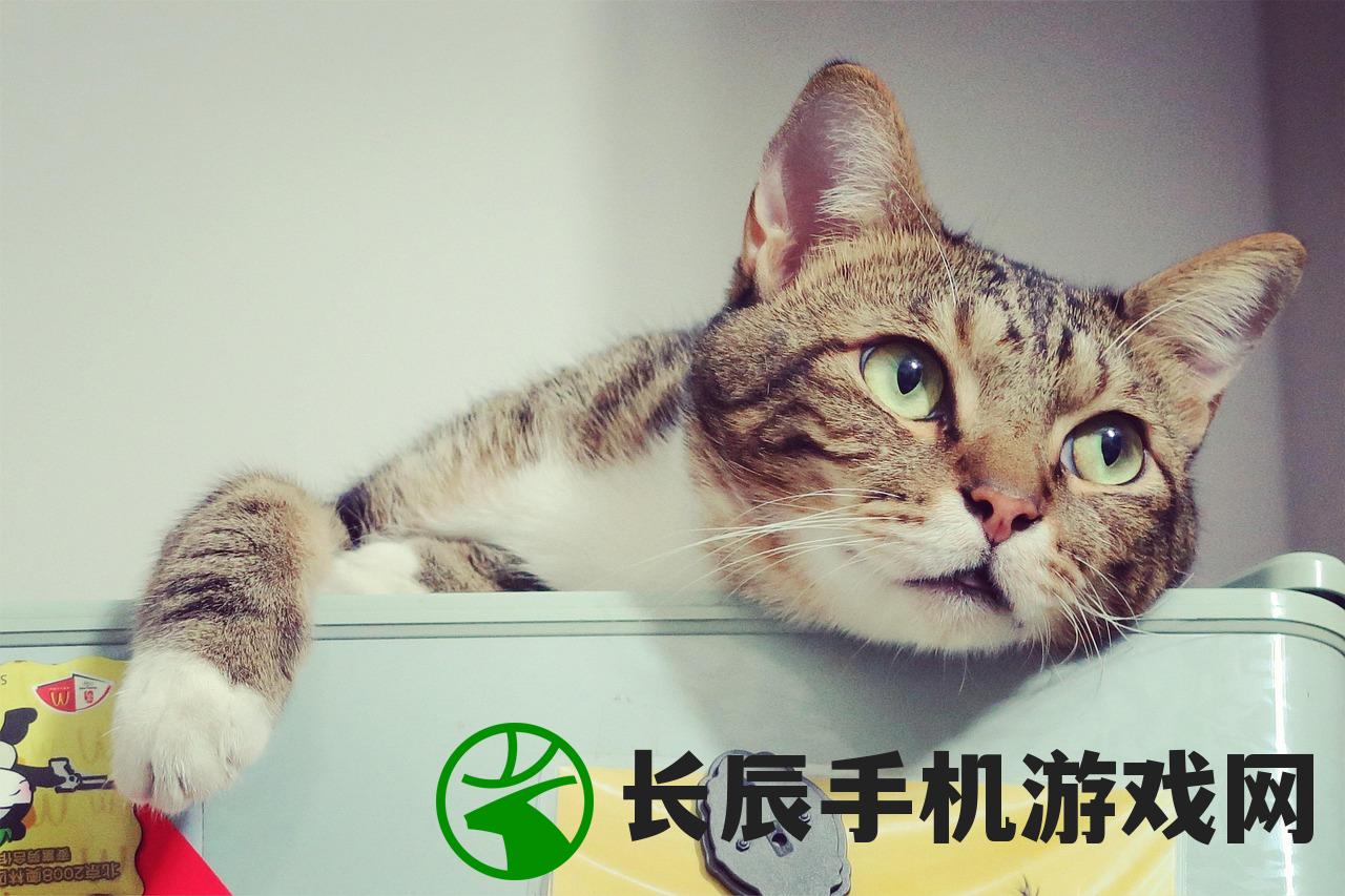 (余罪手机在线收听雷鸣)余罪手机，科技与犯罪的交汇点