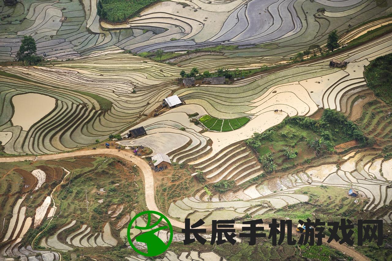 (精灵物语hd)精灵物语高反版，深度解析与探索