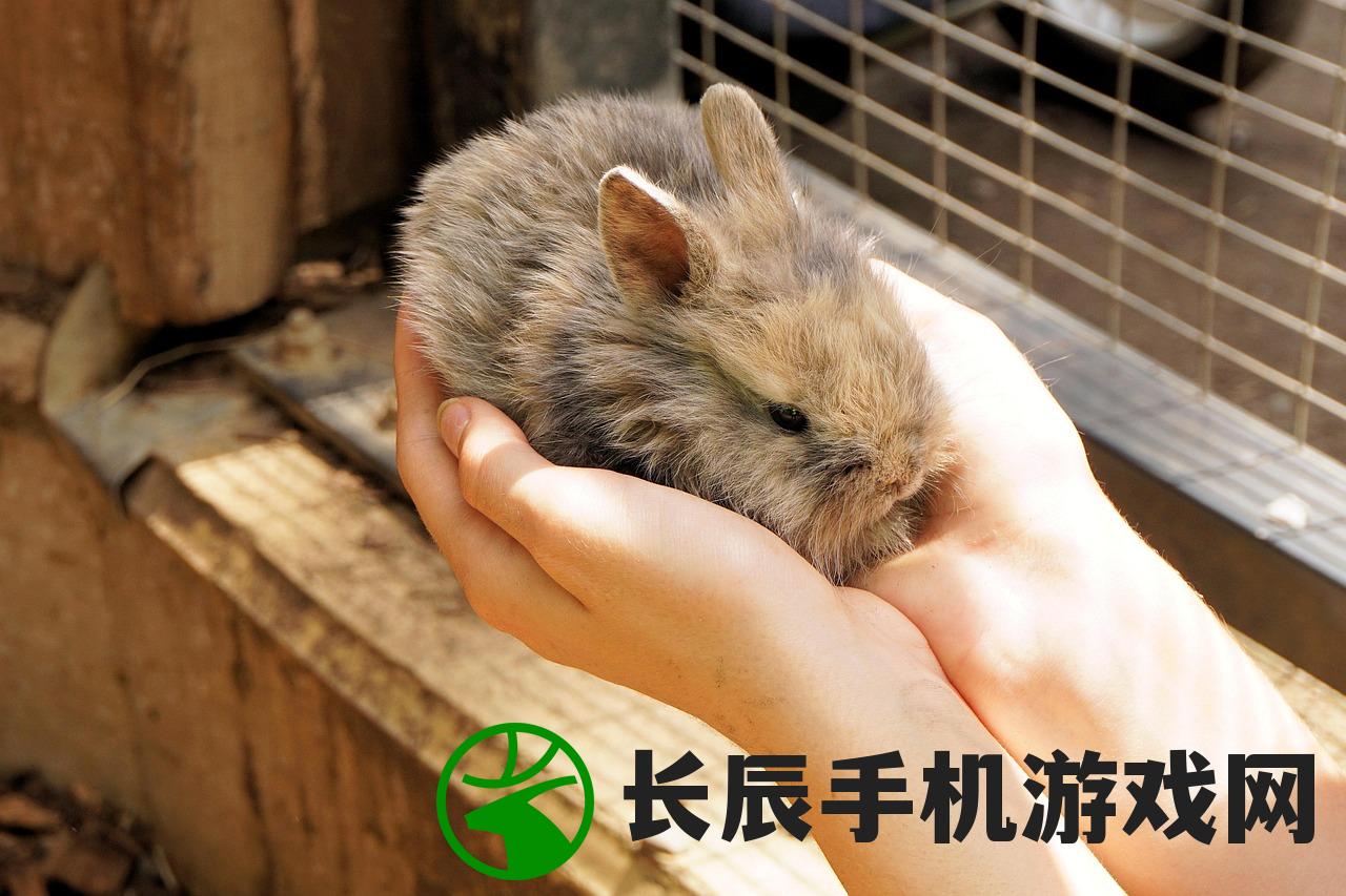 (神域远征最新版本更新内容)神域远征最新版本更新内容解析及常见问答（FAQ）