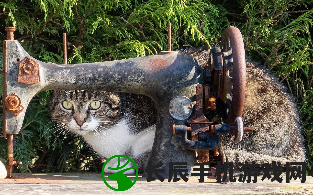 (坠星大陆现在能玩吗)探究坠星大陆停运原因