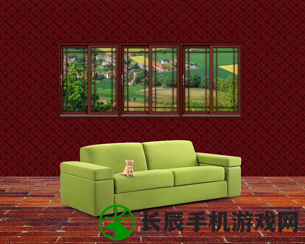 (猫咪天堂房间的最高评价)猫咪天堂攻略家具，打造温馨猫舍全攻略