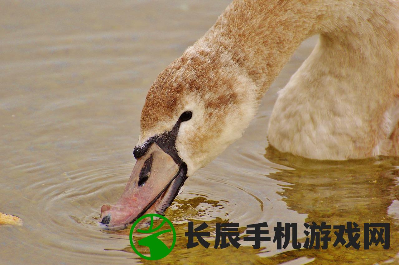 (刚果 金矿)刚果金山体崩塌揭示隐藏铜矿，机遇与挑战并存
