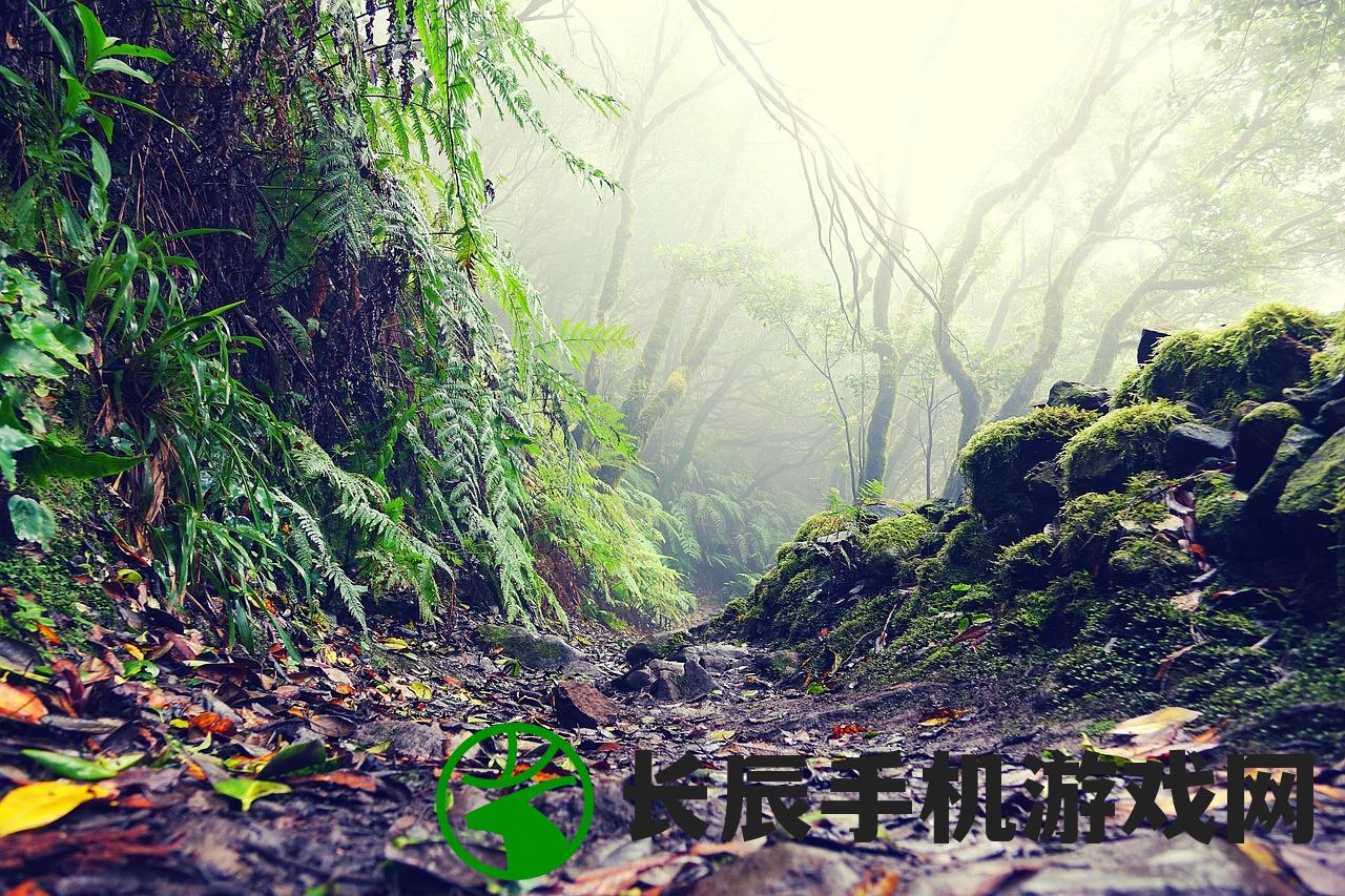 (枫叶岛门票多少)枫叶岛的神秘之旅，探索其地理位置与魅力