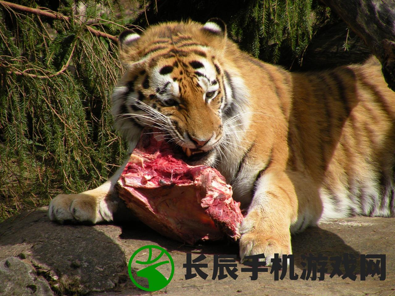 (异兽录攻略)异兽录中资质最厉害的异兽，揭秘第17资质霸主