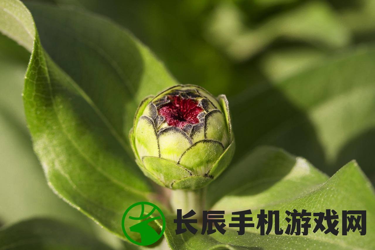 (发际线有救吗)发际线新生，拯救边缘危机的秘密武器