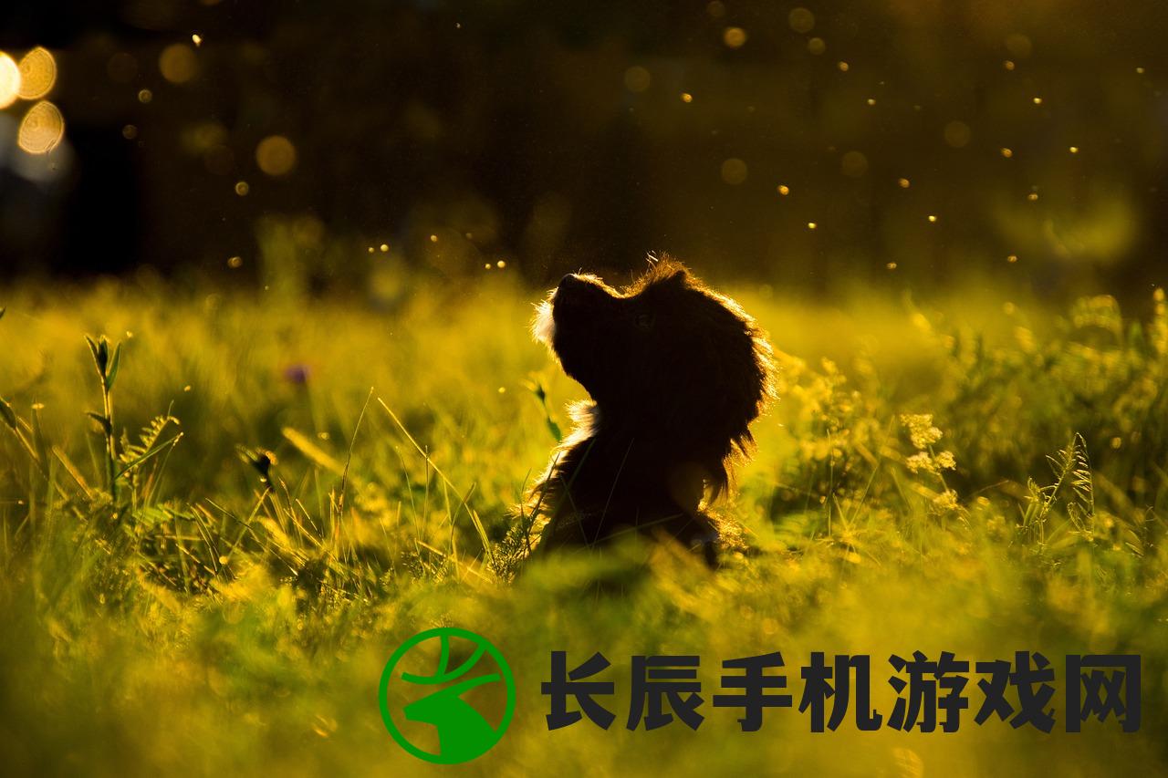 (闪亮的我作文600字)闪亮的我主题，探寻个人独特魅力的多维展现