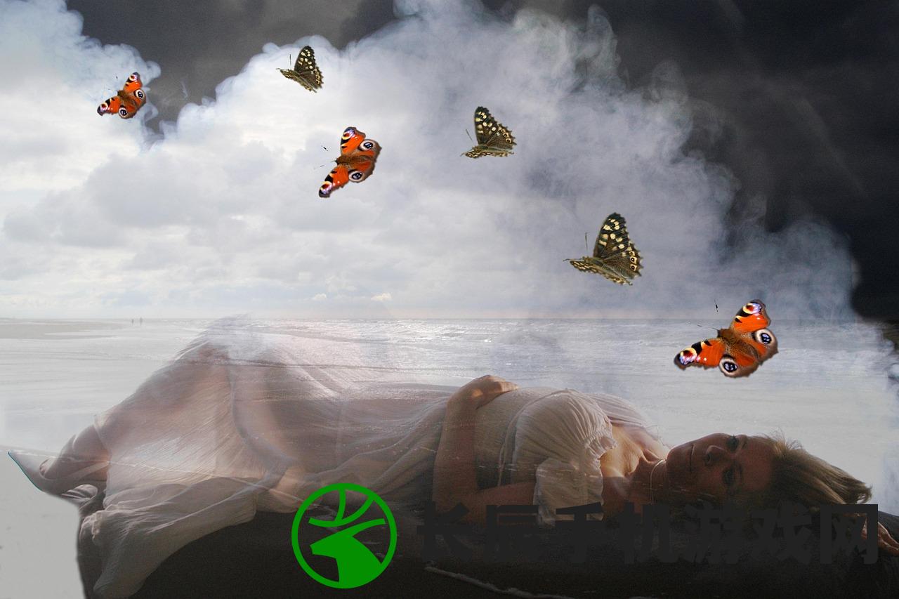 (仙凡幻想什么职业适合平民)仙凡幻想,零氪玩家的职业推荐指南