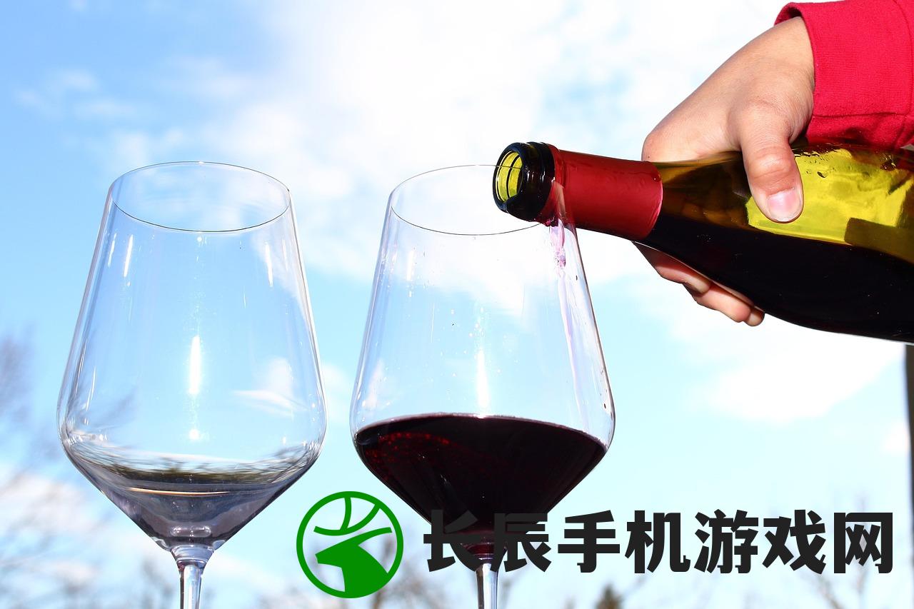 (罐子游戏叫什么意思)罐子的游戏名字探秘,一场充满乐趣的挑战