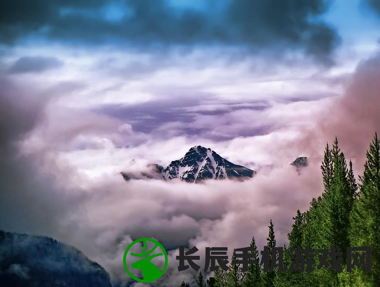 (荒野猎人百科百度)荒野猎人百科,深度解析与常见问题解答 (荒野猎人百科百度)荒野猎人百科,深度解析与常见问题解答