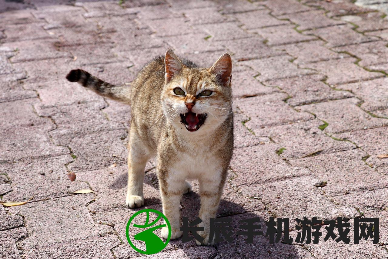 (猫咪闻到异味会产生呕吐吗怎么办)猫咪闻到异味会产生呕吐吗,探究猫咪嗅觉与其生理反应的关系 (猫咪闻到异味会产生呕吐吗怎么办)猫咪闻到异味会产生呕吐吗,探究猫咪嗅觉与其生理反应的关系