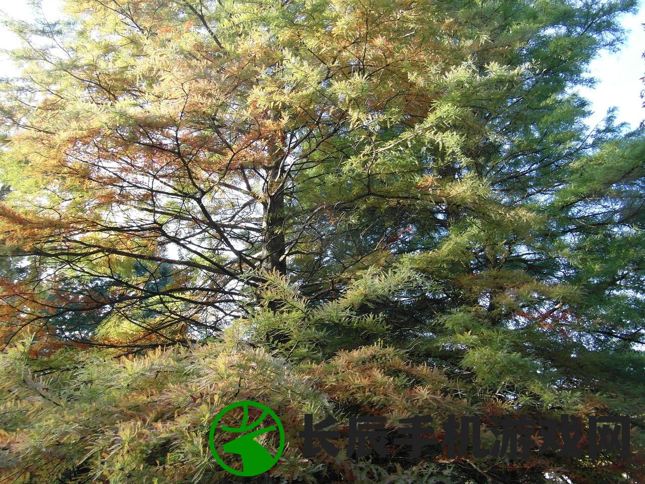 (win10桌面显示我的电脑图标方法)Win10桌面如何显示我的电脑图标,设置与常见问题解答 (win10桌面显示我的电脑图标方法)Win10桌面如何显示我的电脑图标,设置与常见问题解答