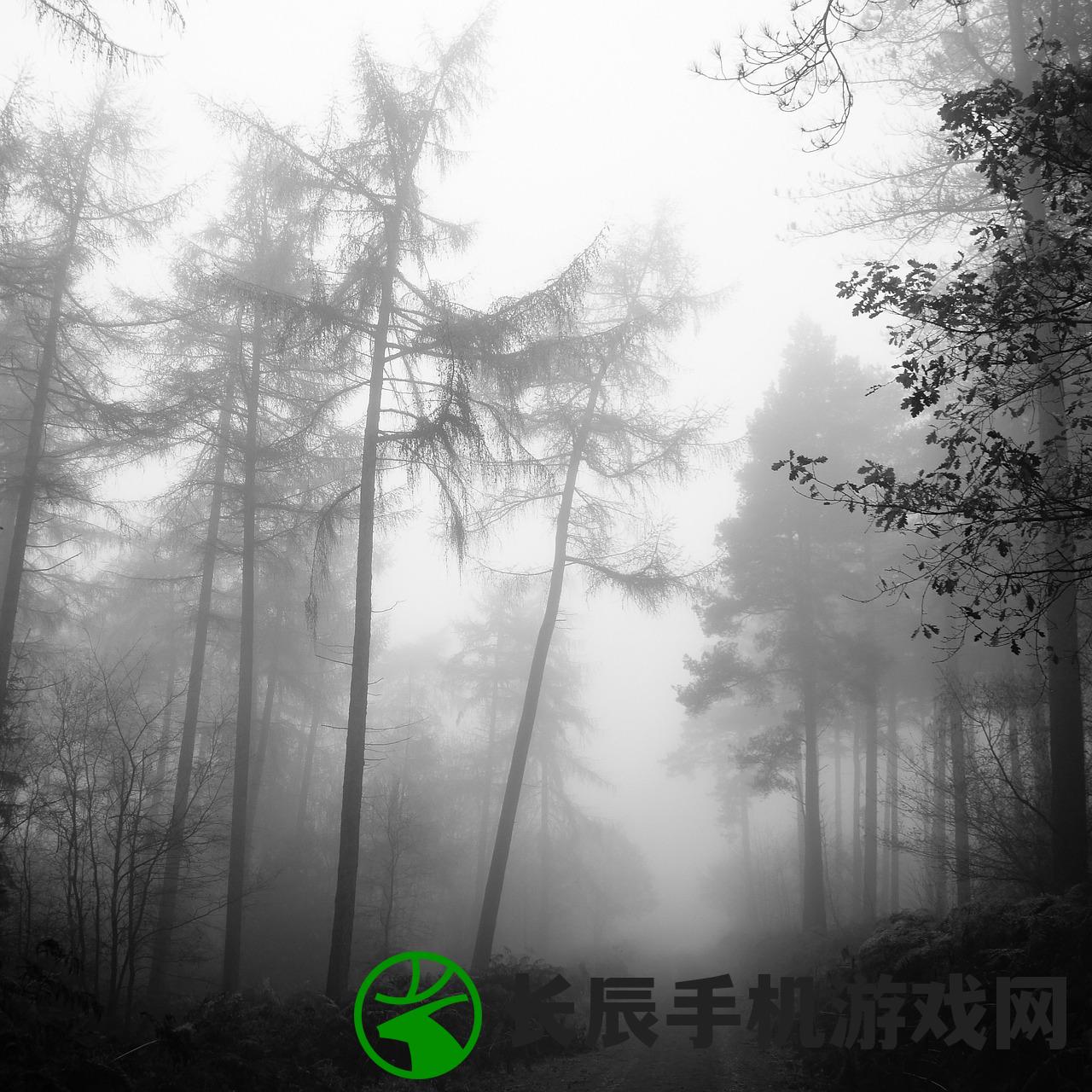 (墨武江山手游攻略)墨武江山手游安版,探索江山,领略武侠魅力