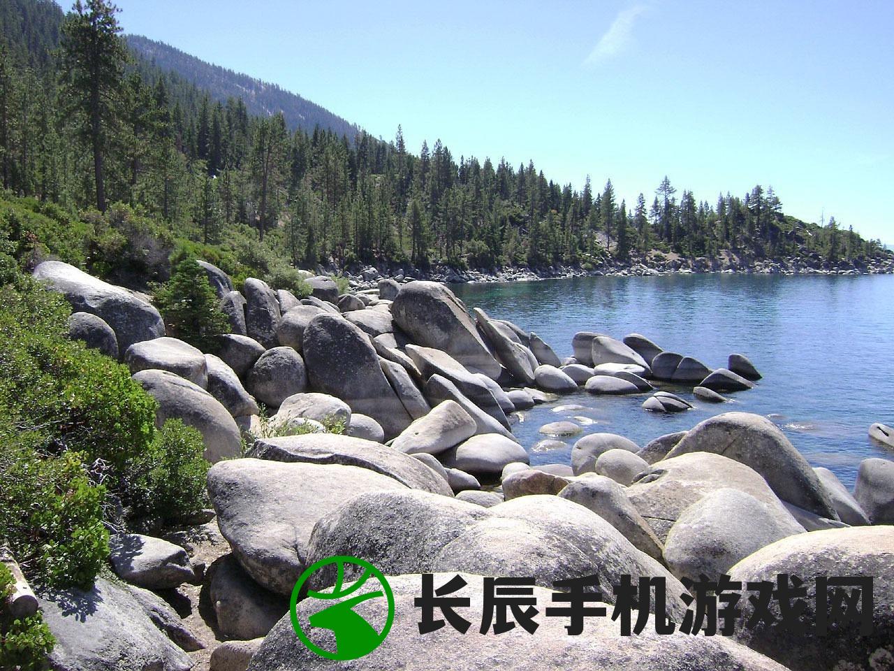 (原始陌生男女荒野森林生存21天最新更新内容介绍)原始陌生男女荒野森林生存挑战,21天的生存经验分享 (原始陌生男女荒野森林生存21天最新更新内容介绍)原始陌生男女荒野森林生存挑战,21天的生存经验分享