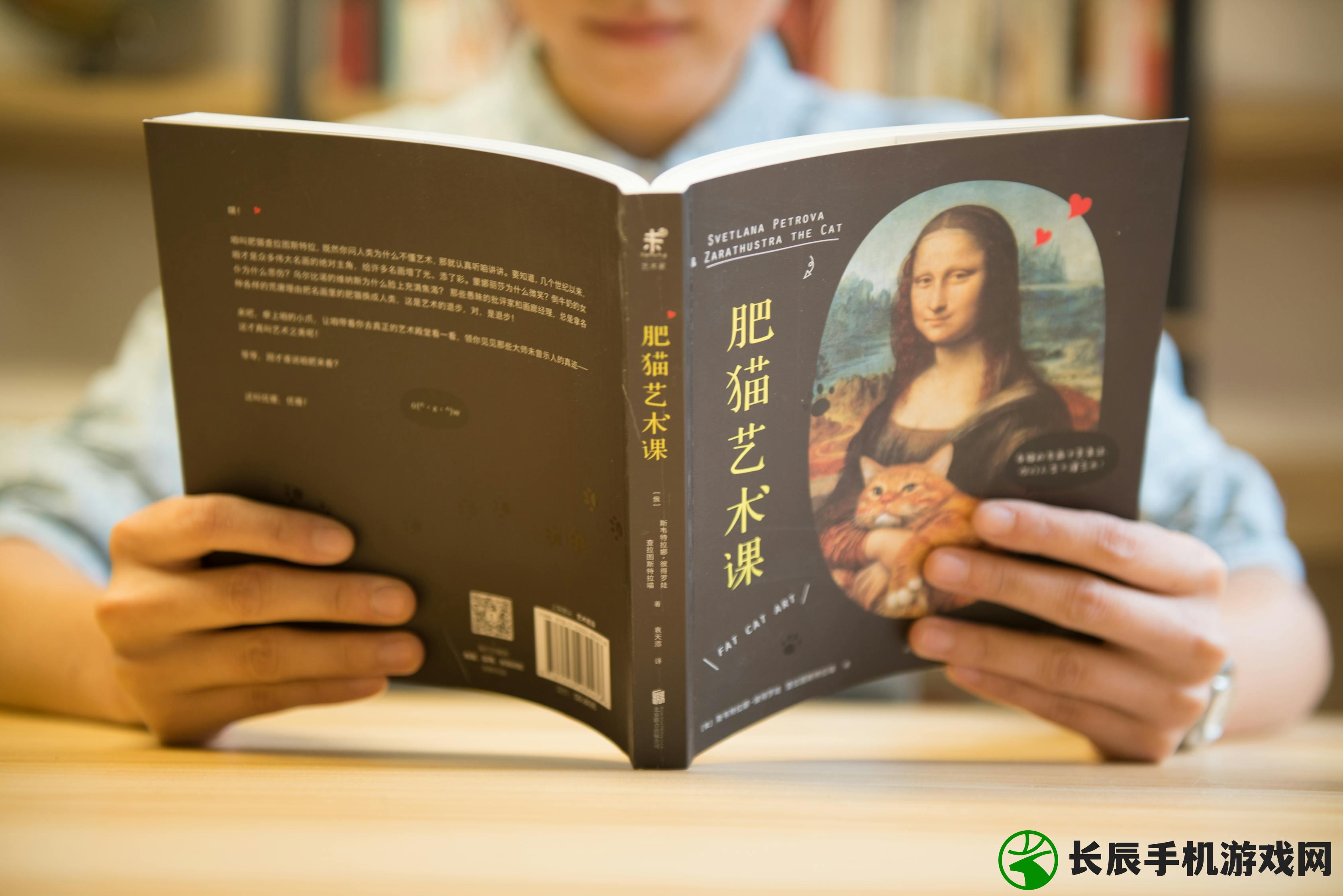 (大周列国志攻略偶遇少女)大周列国志攻略大全,游戏指南与常见问题解答