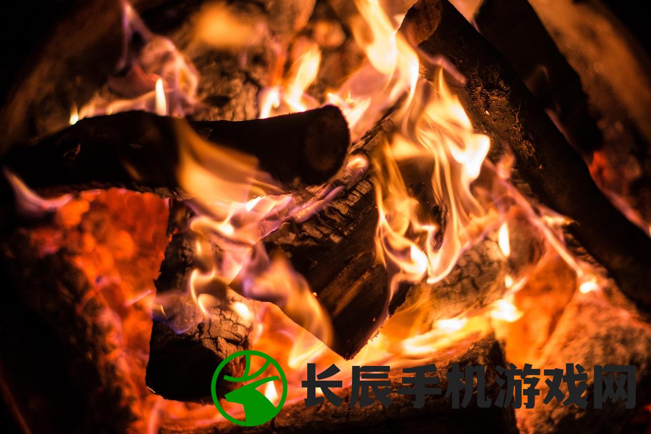 (匠木解锁版全章节最新章节阅读顺序)匠木全解锁版，游戏深度探索与特色分析