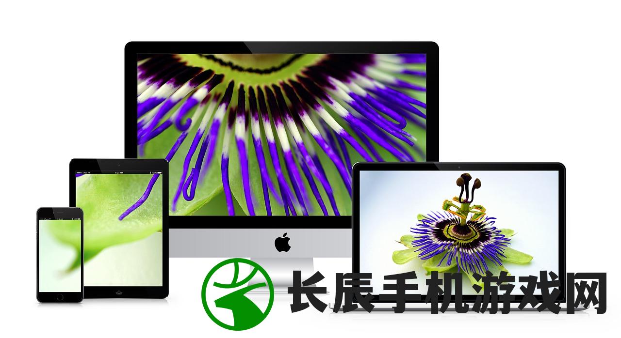(傲视苍穹游戏)傲视苍穹文字传奇，隐藏称号的秘密