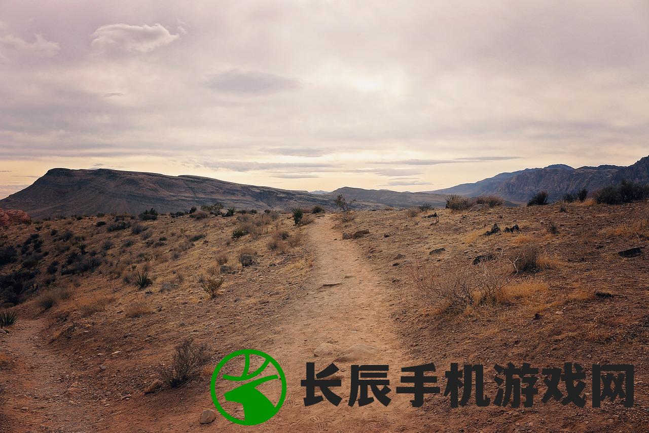 (转生异界成为地下城主)转生成为地下城勇者最强英雄，探寻荣耀之路与多元挑战