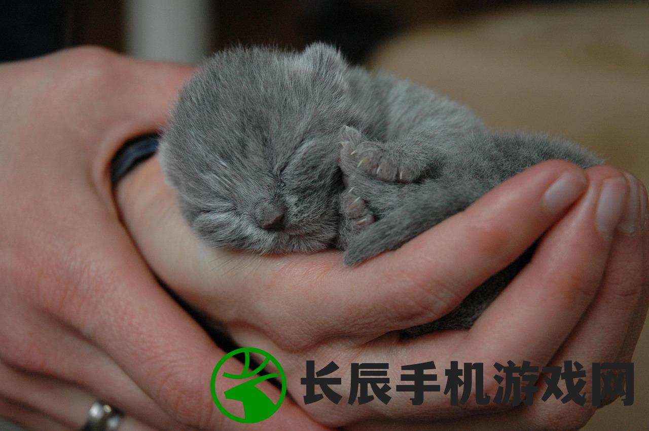 (皮宝宝进化成什么)皮宠的进化起源，神秘生物演变揭秘