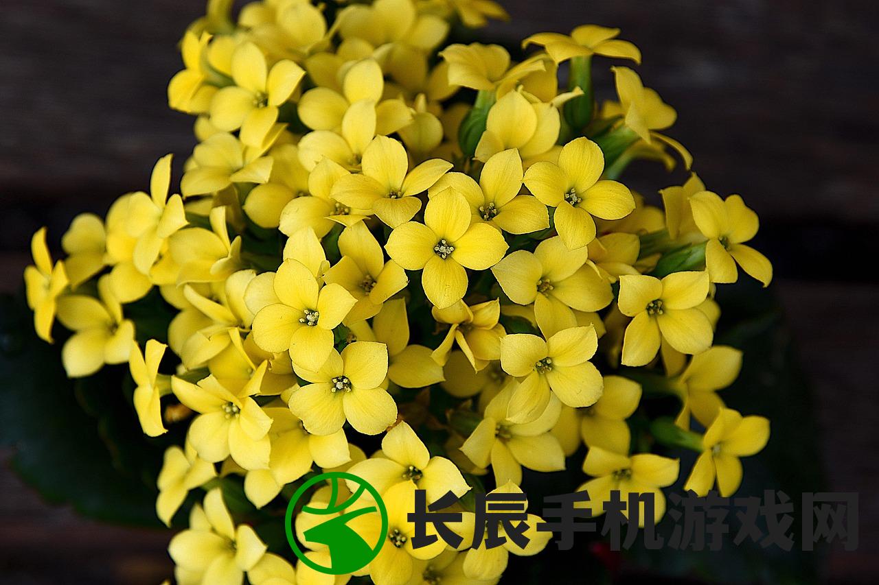 (电脑免费算命 生辰八字)电脑免费算命八字合婚婚姻测试——探寻您的姻缘奥秘